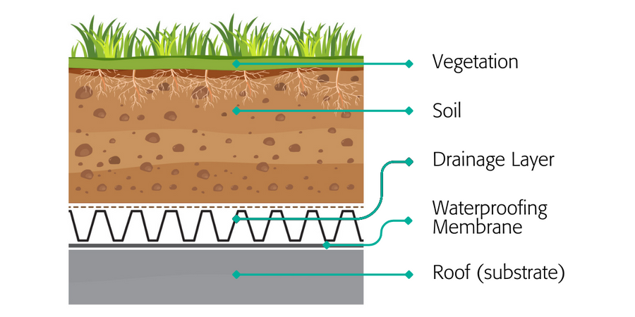 cross section of a traditional green roof