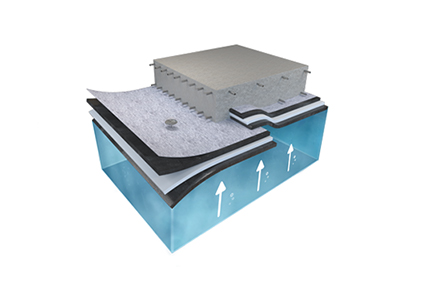 illustration of TREMproof Amphibia's usage and application